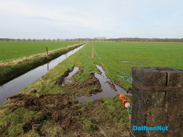 Wordt rondje pontje nu werkelijkheid? - Foto: Wim