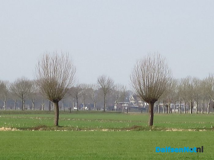 Wordt rondje pontje nu werkelijkheid? - Foto: Wim