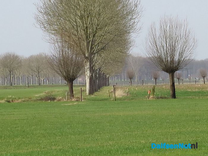 Wordt rondje pontje nu werkelijkheid? - Foto: Wim
