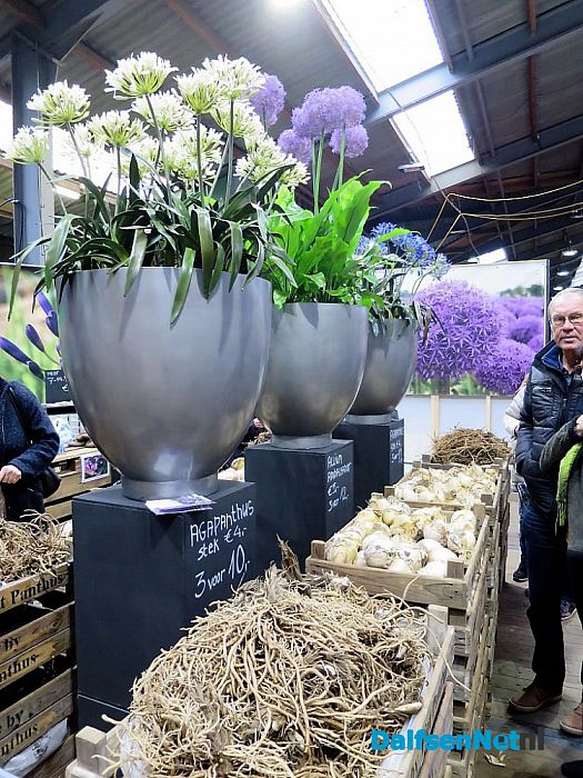 Tuinexpo Luttenberg, alleen vandaag nog tot 16.00 uur - Foto: Wim