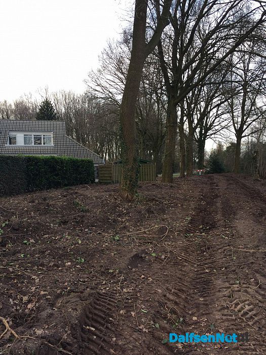 Speelse natuur wijkt voor aangelegd pad - Foto: Ingezonden foto
