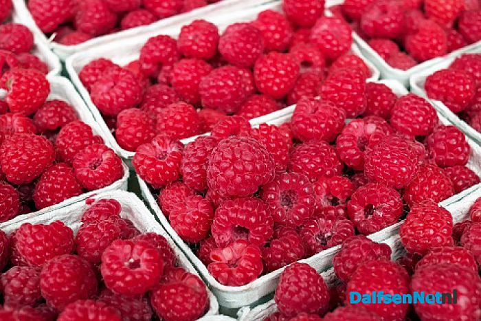 Vechtgenotenhuis Lezing: ‘Powerfood’… is dat echt zo? - Foto: Ingezonden foto