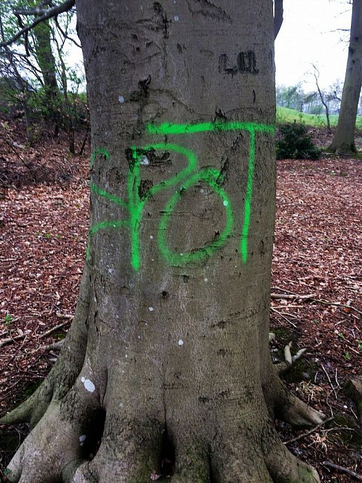 Respectloze vernielingen - Foto: Eigen geleverde foto
