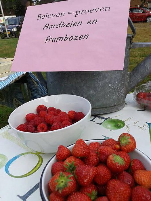 Beweging in de beweegtuin van Rosengaerde - Foto: Eigen geleverde foto