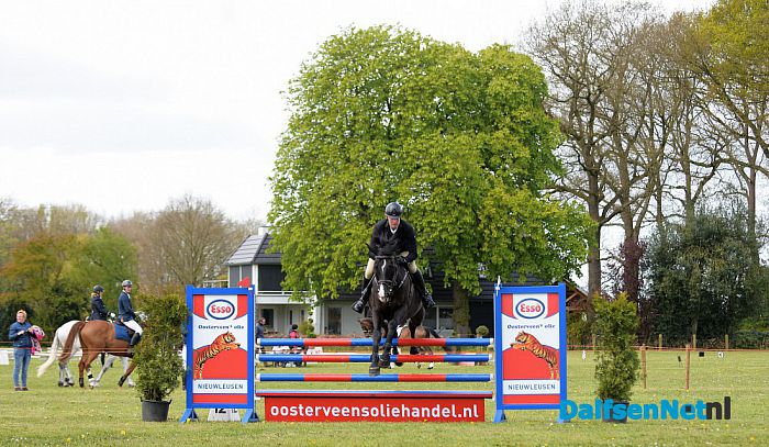 Concours Hippique aan de Ruitenborghstraat - Foto: Johan Bokma
