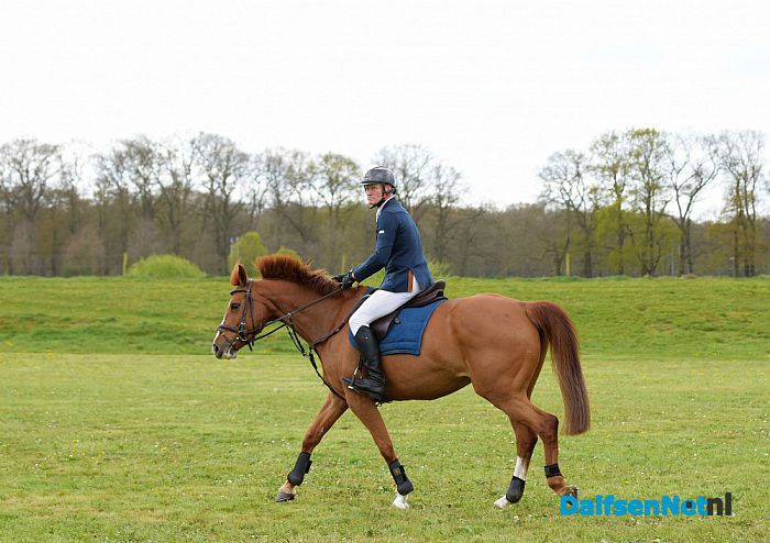 Concours Hippique aan de Ruitenborghstraat - Foto: Johan Bokma