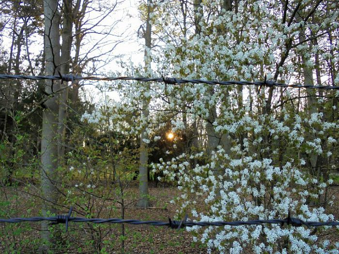 De natuur ontwaakt - Foto: Eigen geleverde foto