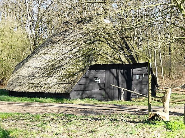 Het Rechterense Veld komt prachtig tot leven