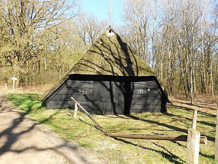 Het Rechterense Veld komt prachtig tot leven