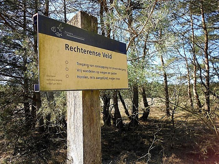 Het Rechterense Veld komt prachtig tot leven