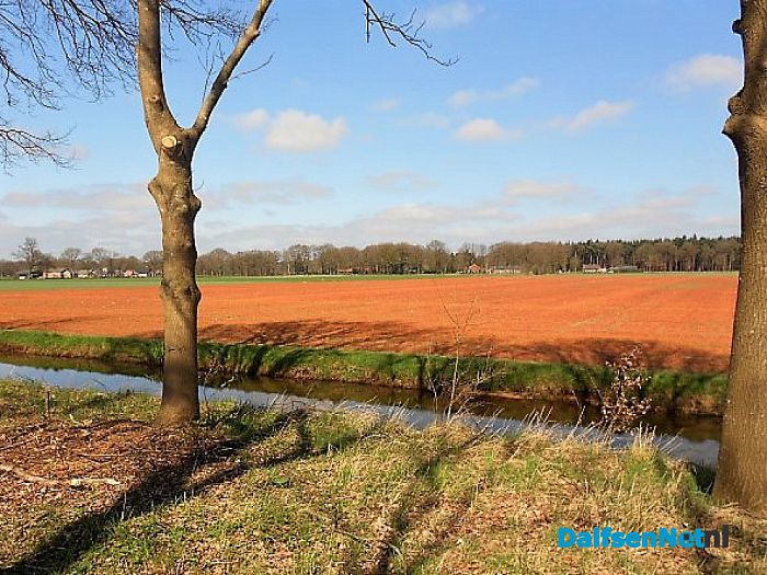 Rode landerijen