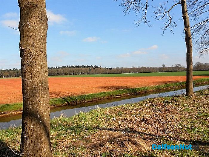 Rode landerijen