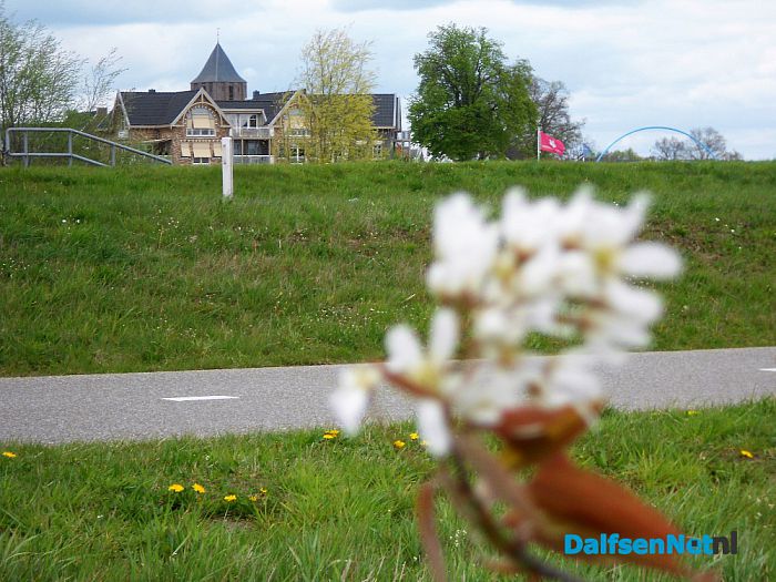 De krenten bloeien nu op zijn mooist