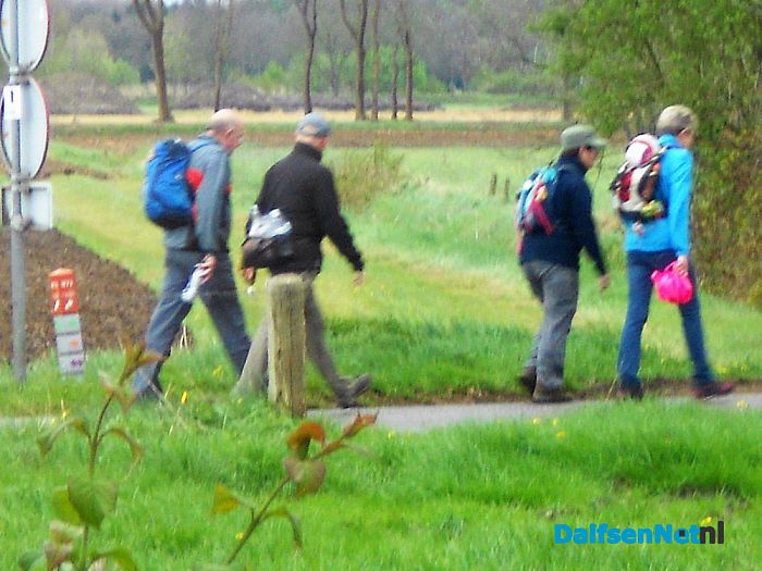 Bos en heidetocht