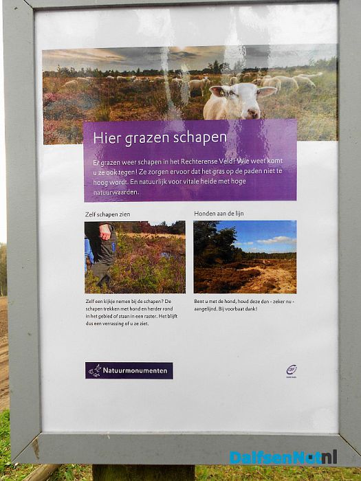 Puur natuur