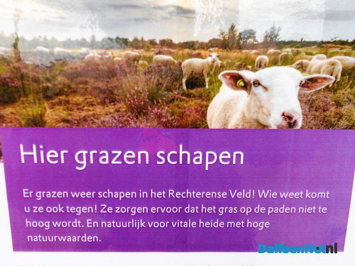 Puur natuur