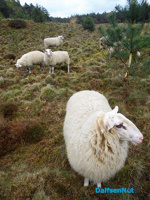 Puur natuur