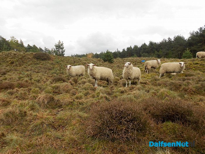 Puur natuur