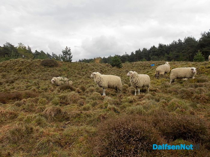 Puur natuur
