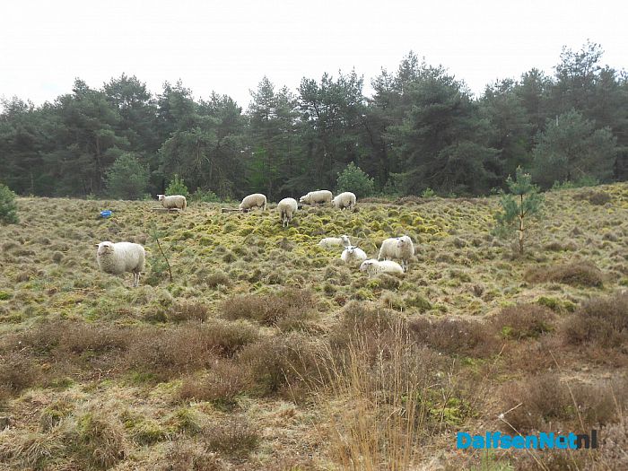 Puur natuur