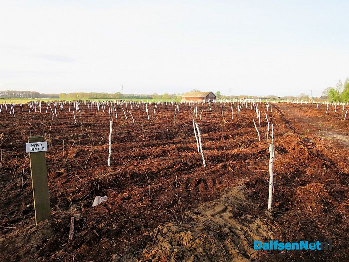 Bij Hoonhorst nieuw bosperceel ingeplant - Foto: Wim