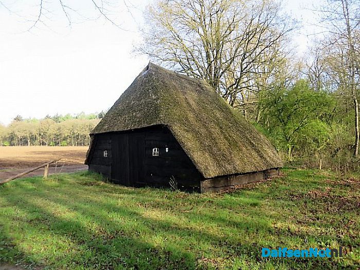 De schapen dromen van fris gras en heide - Foto: Wim