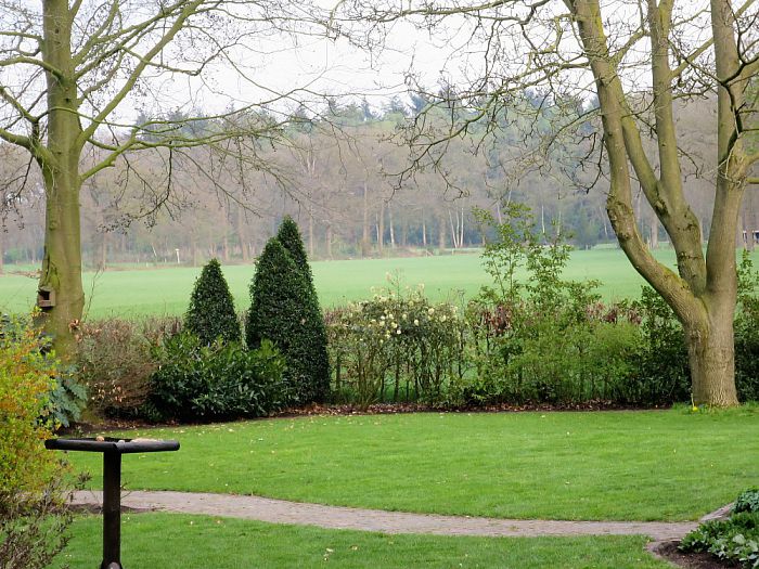 Jonge eekhoorns in een tuin te Hoonhorst - Foto: Eigen geleverde foto