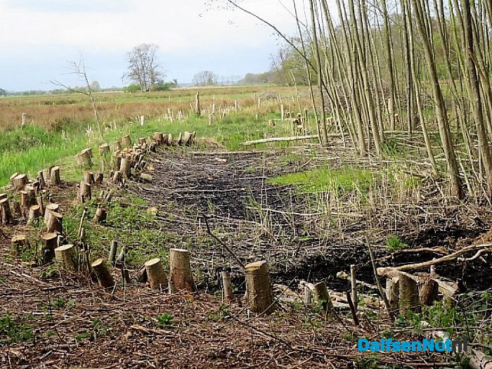 Landgoed De Horte het blijft b(l)oeien - Foto: Wim