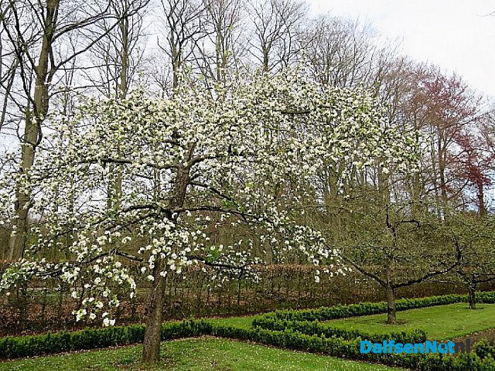 Landgoed De Horte het blijft b(l)oeien - Foto: Wim