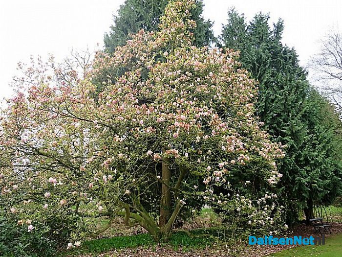 Landgoed De Horte het blijft b(l)oeien - Foto: Wim
