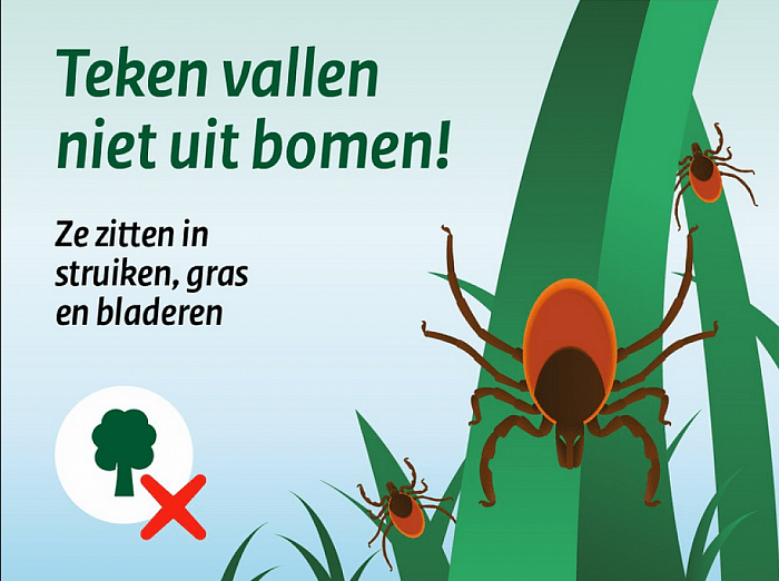 Week van de teek