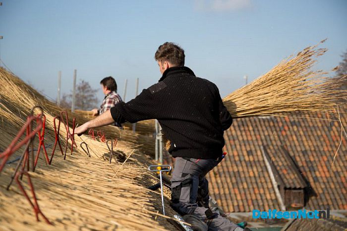 Wacht niet te lang met uitvoeren van onderhoud aan uw rieten dak