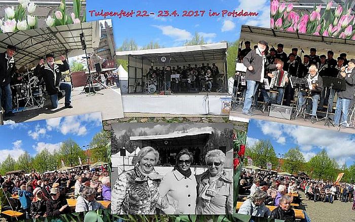 Stuwzangers in Potsdam - Foto: Eigen geleverde foto