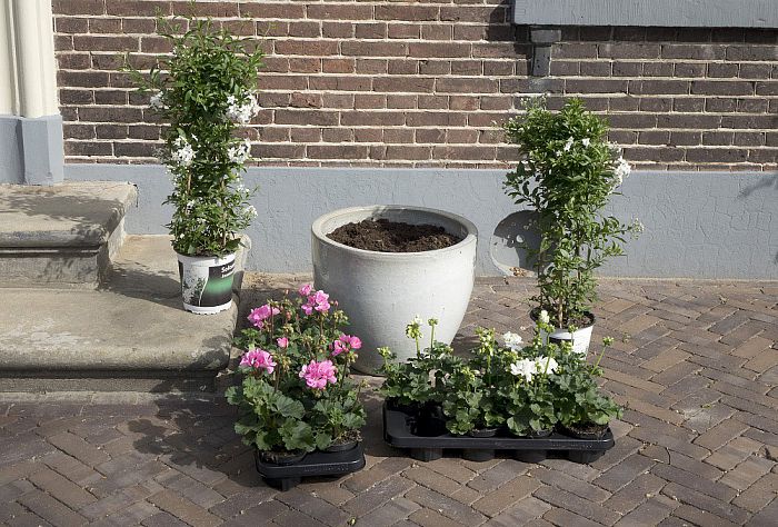 Opnieuw bijzonder aardige geste voor Hospice - Foto: Geert Bistervels