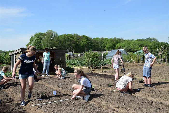 Scholieren aan de slag in de Volkstuin - Foto: Eigen geleverde foto