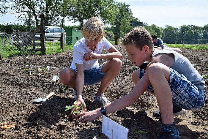 Scholieren aan de slag in de Volkstuin - Foto: Eigen geleverde foto
