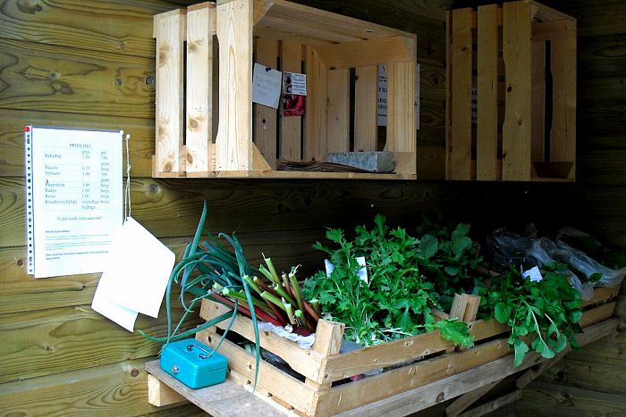 Natuurboerderij Lindehoeve heeft weer groente! - Foto: Eigen geleverde foto