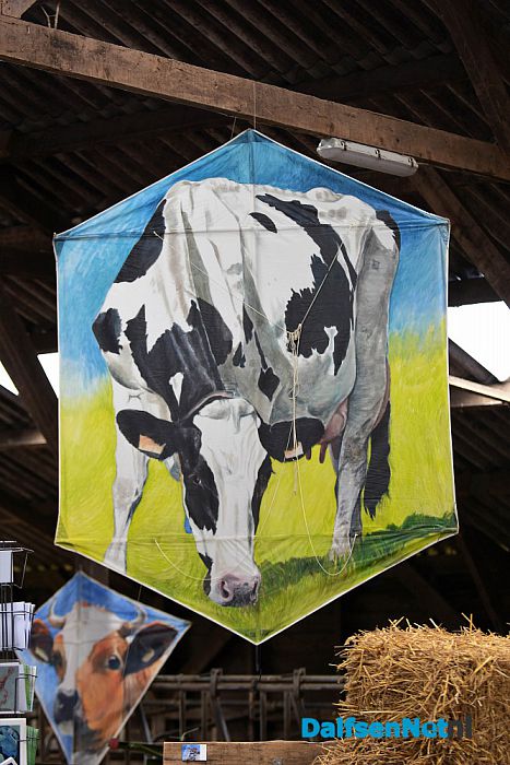 Kunst om Dalfsen 2017 - Foto: Johan Bokma