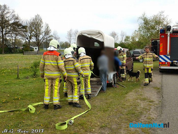 Paard onderuit in trailer - Foto: H.G. Foto