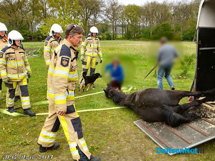 Paard onderuit in trailer - Foto: H.G. Foto