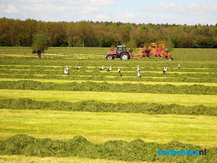 Drukte voor de agrariërs