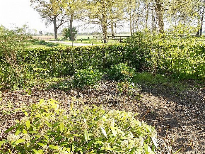 Hoogseizoen voor tuinkabouters - Foto: Eigen geleverde foto