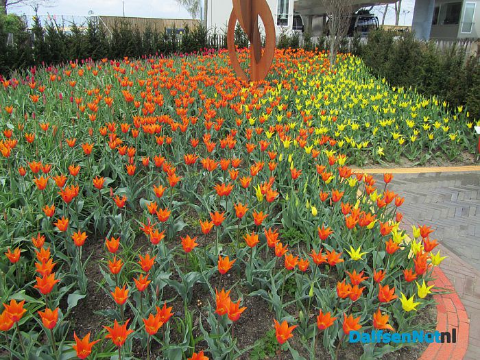 Plantenmarkt - Foto: Ingezonden foto