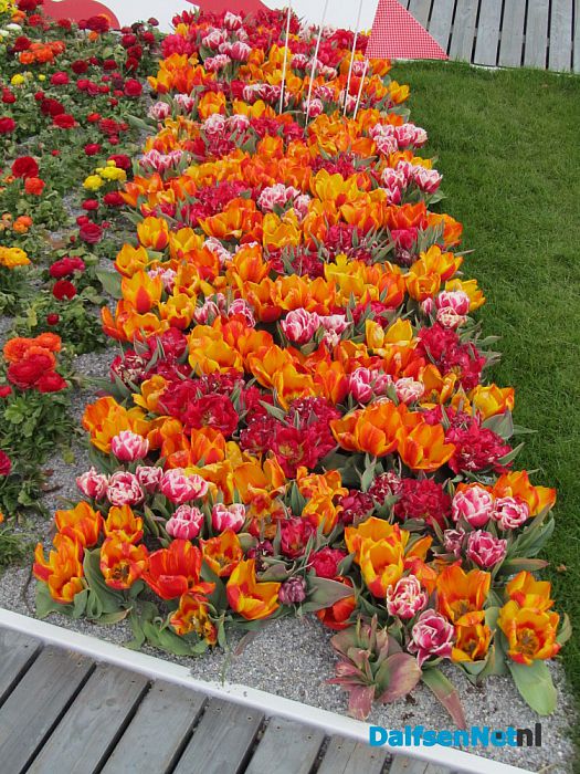 Plantenmarkt - Foto: Ingezonden foto