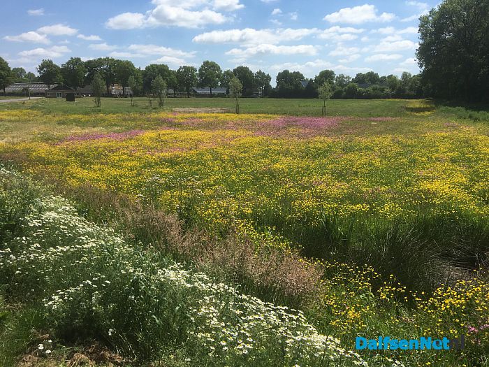 Natuur - Foto: Ingezonden foto
