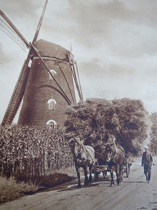 Herinnert u zich deze nog? - Foto: Eigen geleverde foto