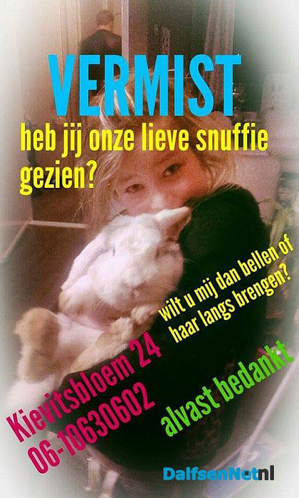 Vermist konijn wit met grijs - Foto: Ingezonden foto