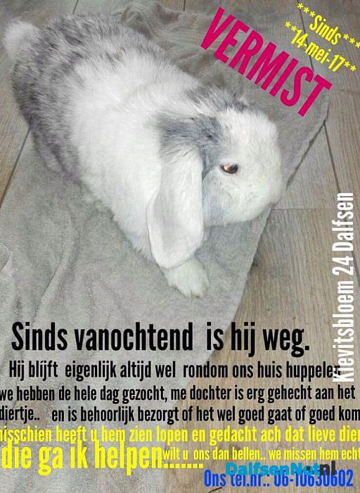 Vermist konijn wit met grijs - Foto: Ingezonden foto