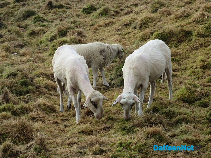 Zonder jas de hei op - Foto: Wim