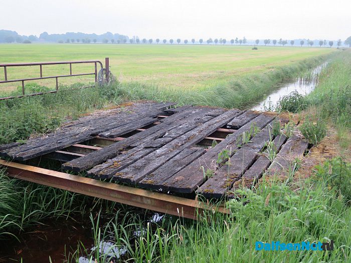 Hemelvaartsdag, dus dauwtrappen - Foto: Wim